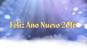 FEliz 2016