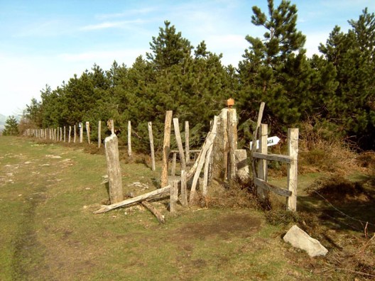 JENOPTIK DIGITAL CAMERA